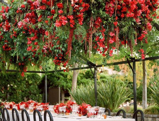 Waterlily Pond. Floral Artistry and Event Design