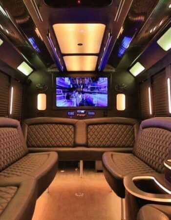Executive Limo Bus