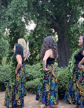 Aloha Dancers Polynesian Dance School