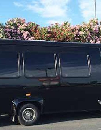 Million Services Limousine