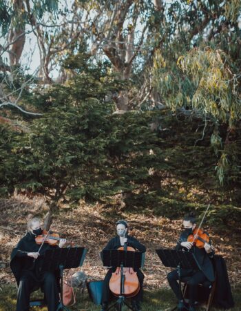 Bay Area Strings