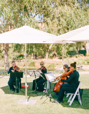 Bay Area Strings