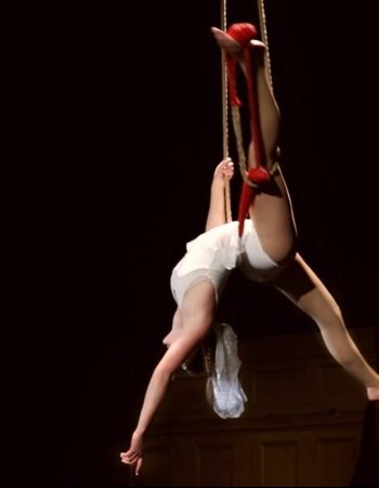 Circus Center