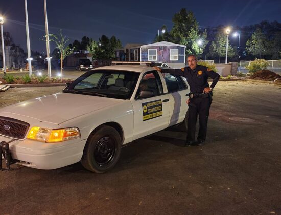 Horizon Protection Security Services