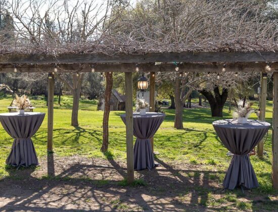 Party Smart Rentals