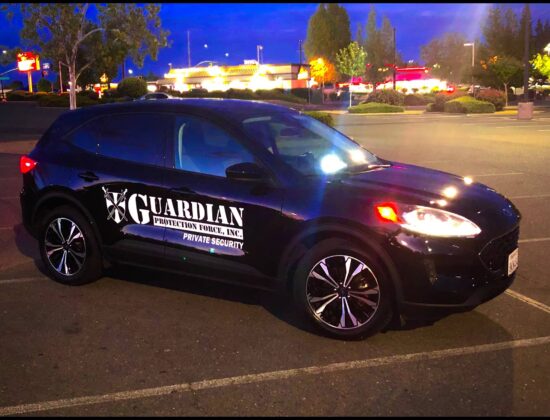 Guardian Protection Force