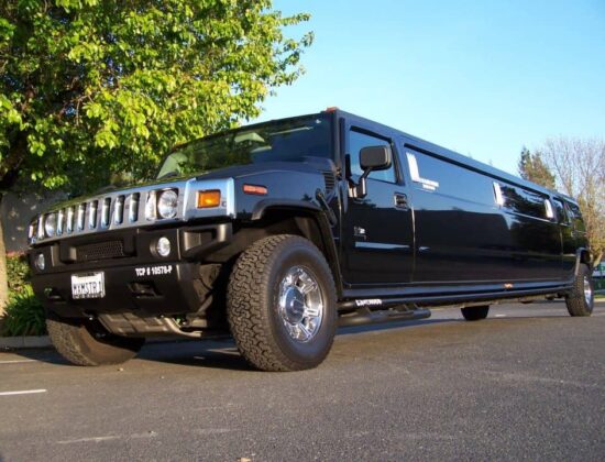 The Mix Master Pro Dj & Limousines