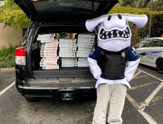 Hammer Head Security