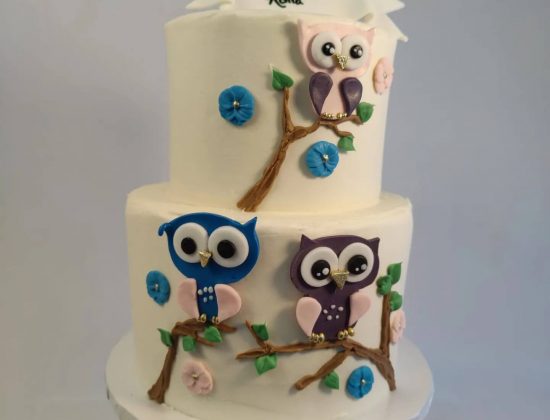 Sugarsweet Cookie + Cake Studio