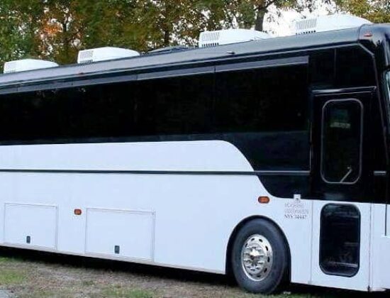 Exotic Limousine