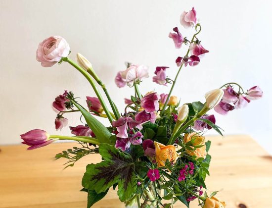 Sunrose Floral